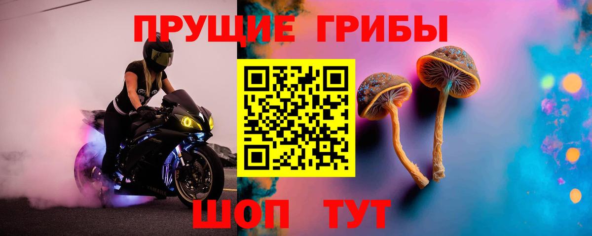 Галлюциногенные грибы Psilocybe Ялта